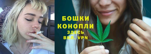mdpv Богданович