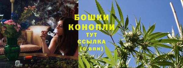 гидра Белоозёрский
