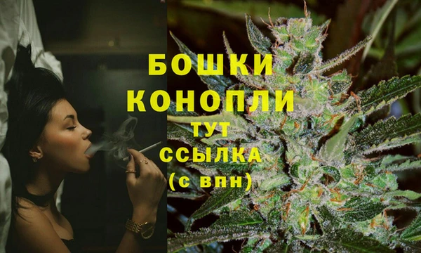 соль курить ск Белокуриха