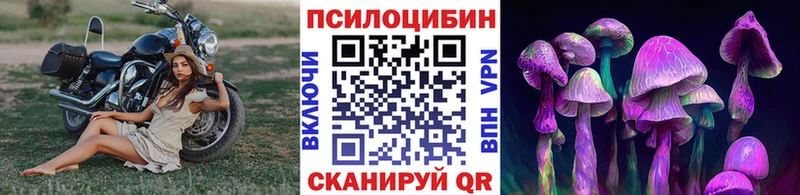 закладка  Дятьково  Псилоцибиновые грибы мухоморы 